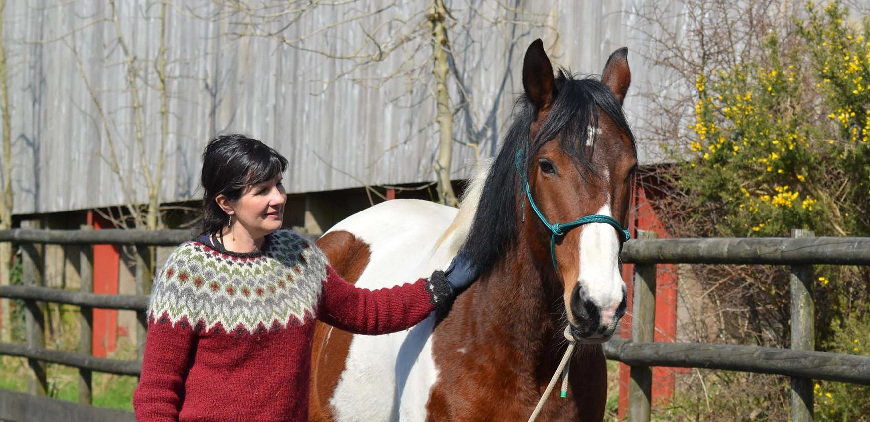 Soft and Sound Horse Training Devon